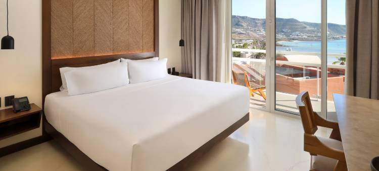 英迪格酒店 拉巴斯 普埃尔塔科尔特斯(Hotel Indigo LA PAZ PUERTA CORTES by IHG)图片