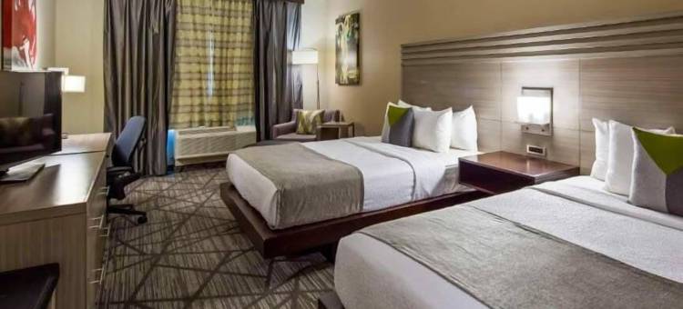 休斯顿 I-45 北 - IAH 舒适套房酒店(Comfort Inn & Suites Houston I-45 North - IAH)图片