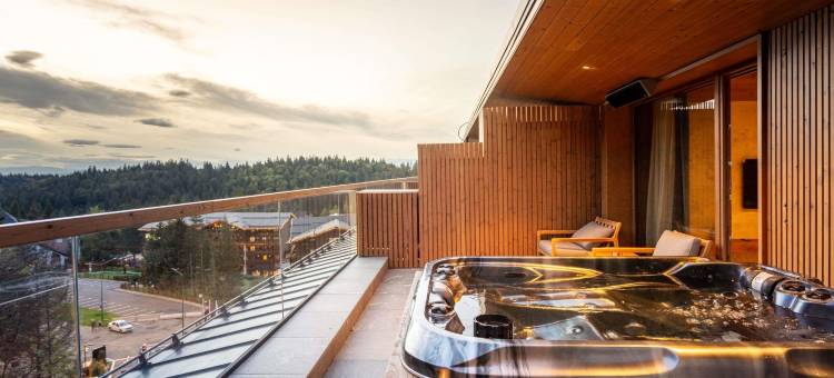 瑞士酒店布拉索夫波亚纳(Swissôtel Poiana Brasov)图片