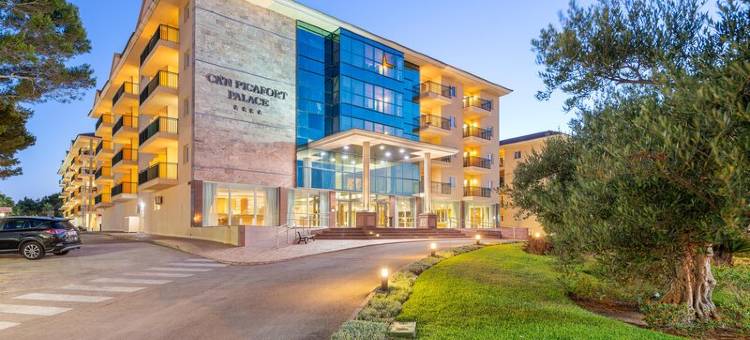 坎皮卡福特皇宫公寓酒店(Aparthotel Can Picafort Palace)图片