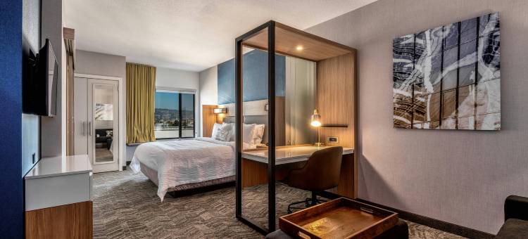 奥克兰机场SpringHill Suites酒店(SpringHill Suites Oakland Airport)图片