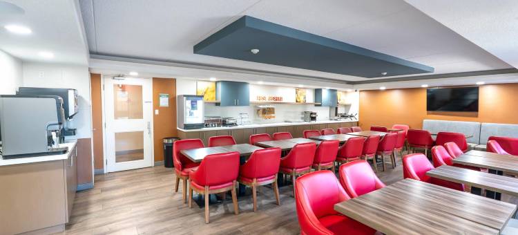 舒适套房酒店(Comfort Suites)图片