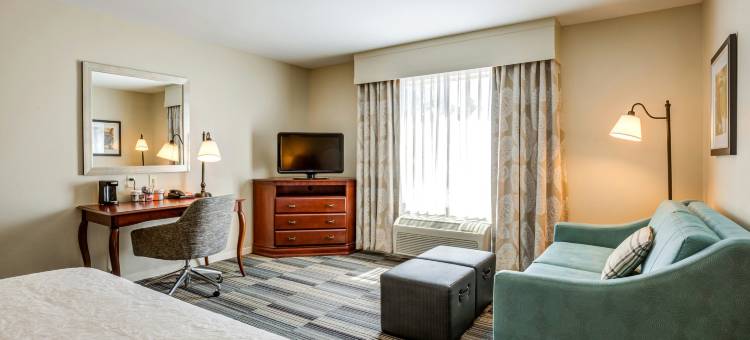 韦斯特福德切姆斯福德欢朋套房酒店(Hampton Inn & Suites Westford-Chelmsford)图片