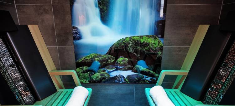菲林根-施文宁根假日酒店(Holiday Inn VILLINGEN - SCHWENNINGEN by IHG)图片