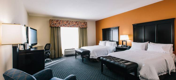 埃芬汉·欢朋套房酒店(Hampton Inn & Suites Effingham)图片