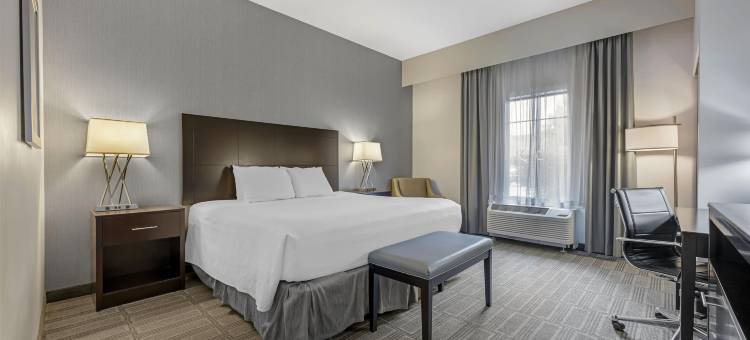 哈蒙兹波特贝斯特韦斯特优质酒店(Best Western Plus the Hammondsport Hotel)图片