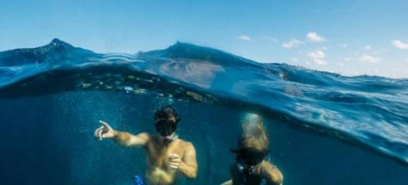 Manta Lodge & Scuba Centre图片