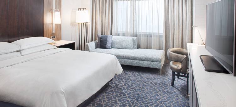 波士顿后湾希尔顿酒店(Hilton Boston Back Bay)图片