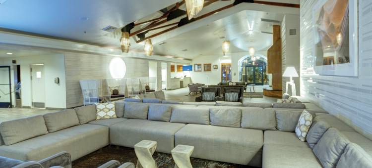 沙漠玫瑰度假酒店(Desert Rose Resort)图片