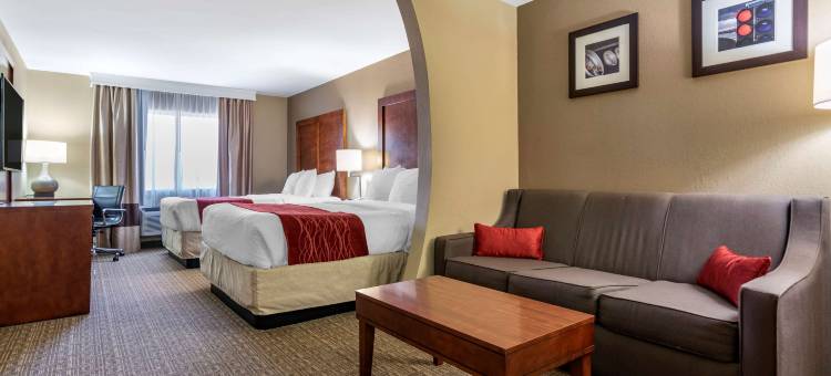 利兹I-20舒适套房酒店(Comfort Inn & Suites Leeds I-20)图片