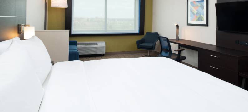 罗密欧维尔乔利埃特北智选假日套房酒店(Holiday Inn Express & Suites ROMEOVILLE - JOLIET NORTH by IHG)图片