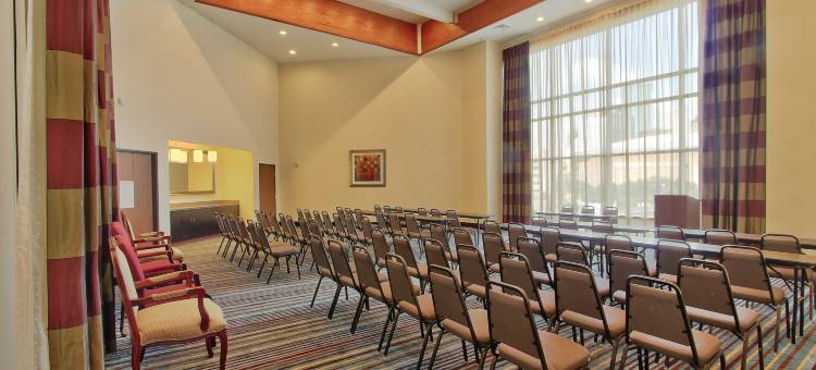 洲际酒店集团智选假日套房酒店休斯顿市中心会议中心(Holiday Inn Express & Suites Houston-Dwtn Conv Ctr)图片