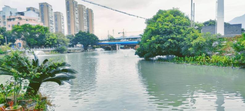 金世家公寓(新象东路2号分店)图片