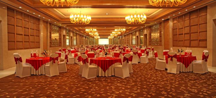 新德里德瓦卡丽笙酒店(Radisson Blu New Delhi Dwarka)图片