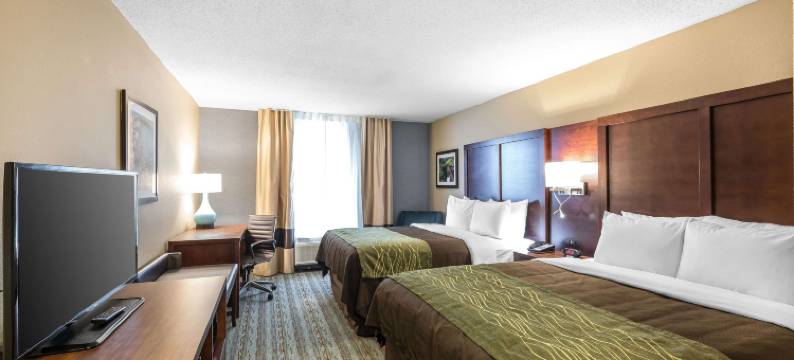 湾城舒适酒店 - 河滨(Comfort Inn Bay City - Riverfront)图片