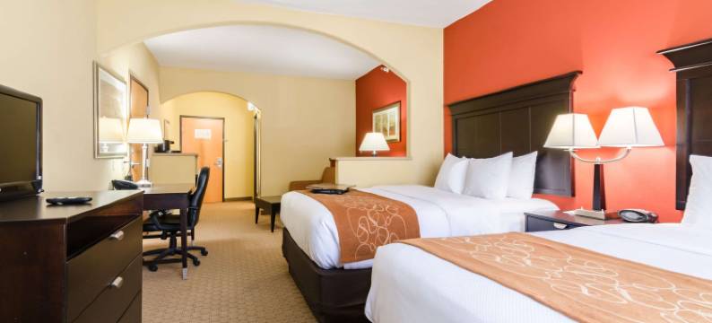 南萨莱纳舒适套房酒店(Comfort Suites Salina South)图片