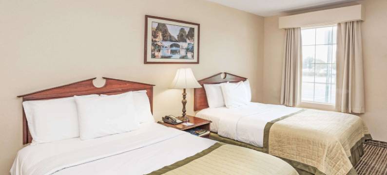 弗多斯塔购物商场呗盟套房酒店(Baymont by Wyndham Valdosta at Valdosta Mall)图片