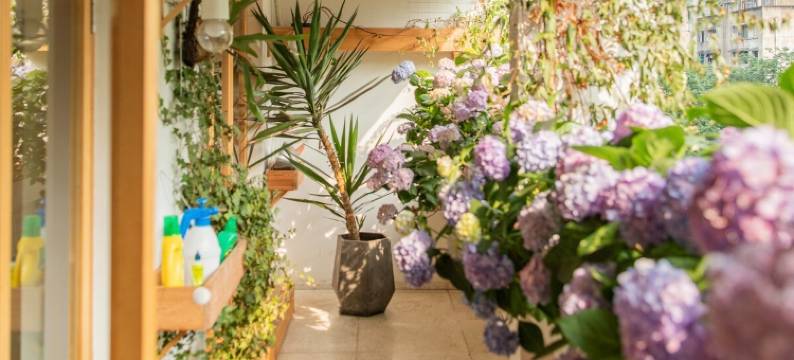 北尧公寓(君平街分店)图片