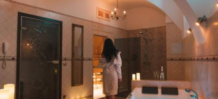 文图斯罗莎公寓式酒店(Hotel & Apartments Ventus Rosa)图片