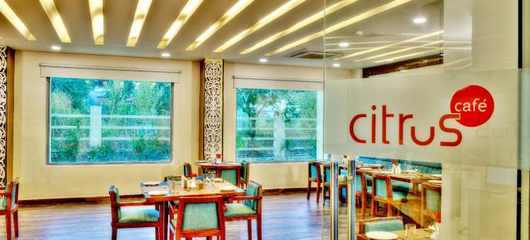 格德拉柠檬树酒店(Lemon Tree Hotel, Katra)图片