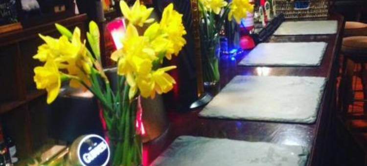 巴格宾馆(The Badger Inn)图片