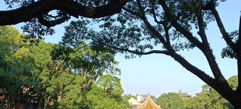 普陀山宿栖公寓(龙沙路1号分店)图片