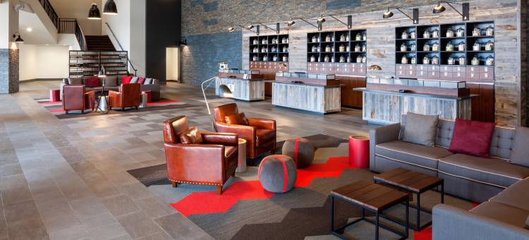 西雅图机场南福朋喜来登酒店(Four Points by Sheraton Seattle Airport South)图片