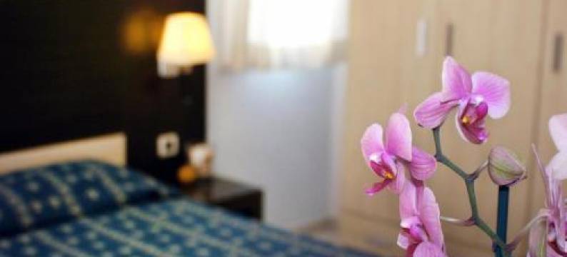 Hotel Europa Park图片