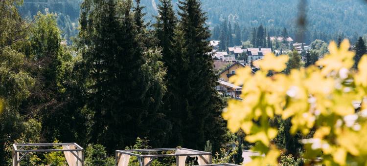 萨赫尔滑雪度假村(Alpin Resort Sacher)图片