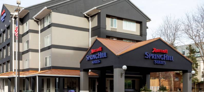 罗切斯特梅奥医学中心／圣玛丽医院万豪SpringHill酒店(SpringHill Suites Rochester Mayo Clinic Area/Saint Marys)图片