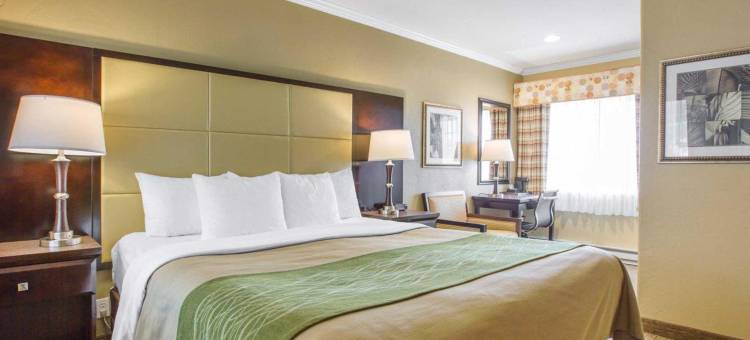 舒适酒店-卡梅尔海边(Comfort Inn Carmel by the Sea)图片