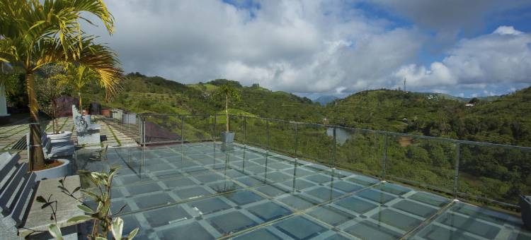 瓦格蒙雾丘度假村(Foggy Knolls Resort)图片