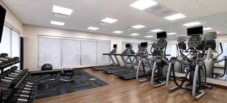 安阿伯南大学智选假日套房酒店(Holiday Inn Express & Suites Ann Arbor - University South)图片