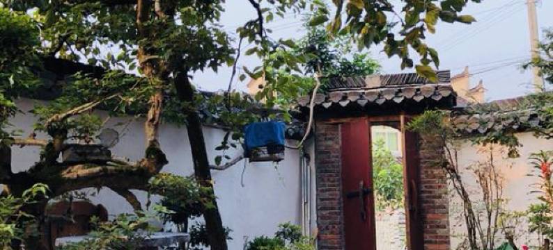 黟县青石桃舍客栈图片