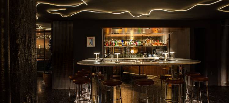 芝加哥罗比酒店 - 设计酒店会员(The Robey, Chicago, a Member of Design Hotels)图片