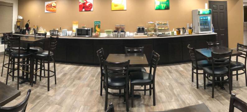 凯艺套房酒店(Quality Inn & Suites)图片