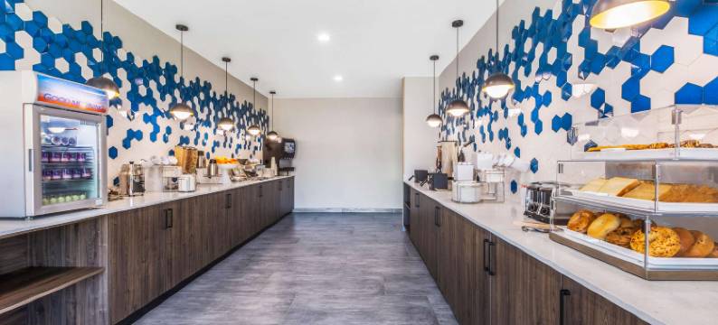 加尔维斯顿西防波堤拉昆塔温德姆套房酒店(La Quinta Inn & Suites by Wyndham Galveston West Seawall)图片