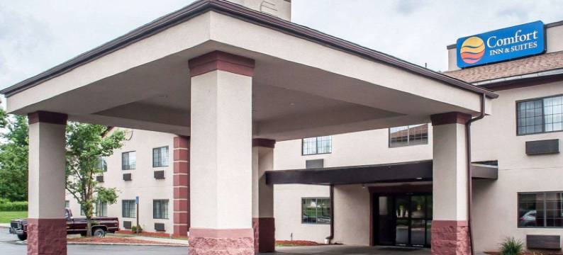 舒适酒店及套房-汉堡-南布法罗(Comfort Inn & Suites Hamburg - Buffalo South)图片