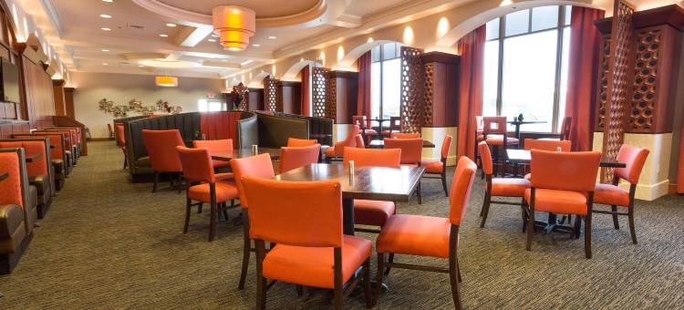 印第安纳波利斯-卡梅尔德鲁里广场酒店(Drury Plaza Hotel Indianapolis Carmel)图片