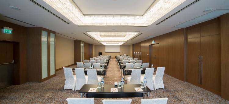 丽笙蓝标酒店-开塞利(Radisson Blu Hotel, Kayseri)图片