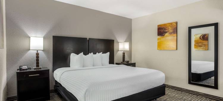 琼斯伯勒贝斯特韦斯特优质套房酒店(Best Western Plus Jonesboro Inn  Suites)图片