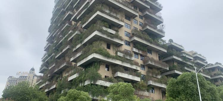 星河雅居公寓(宁容快速路分店)图片