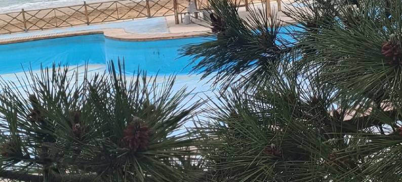 星好渔家公寓(中区二街分店)图片