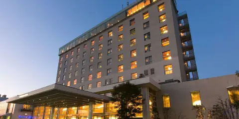 岐阜大酒店