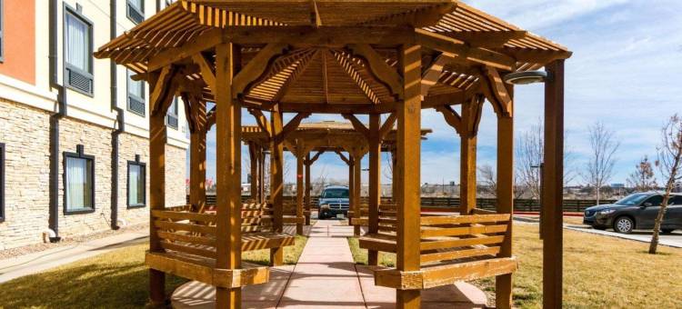 阿马里洛舒适全套房酒店(Spark by Hilton Amarillo Western Plaza)图片