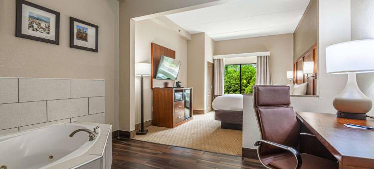 亚特兰大南部莫罗舒适套房酒店(Comfort Suites Morrow- Atlanta South)图片