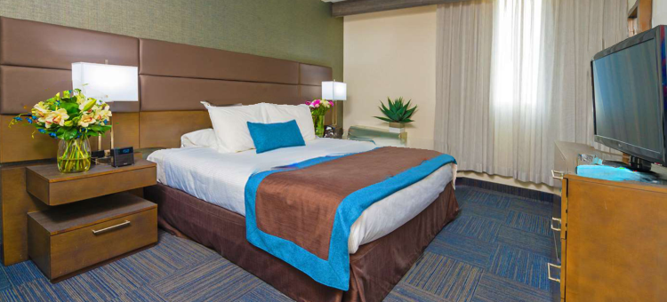 多伦多机场贝斯特韦斯特优质酒店(Best Western Plus Toronto Airport Hotel)图片