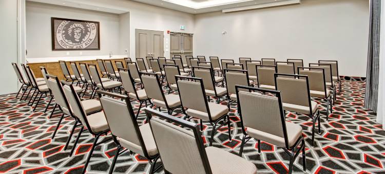 梅迪辛哈特欢朋套房酒店(Hampton Inn & Suites by Hilton Medicine Hat)图片