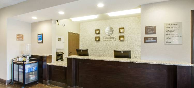 贝尔维尤-奥马哈奥弗特空军基地舒适套房酒店(Comfort Inn & Suites Bellevue - Omaha Offutt AFB)图片