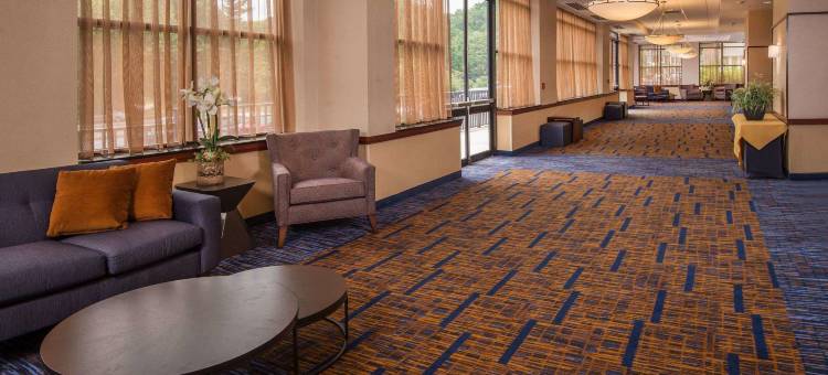 纽瓦克-特拉华大学万怡酒店(Courtyard Newark-University of Delaware)图片